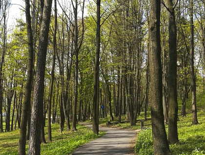 29_Pazaislio dviraciu takas5.jpg